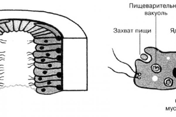 Кракен даркнет зайти